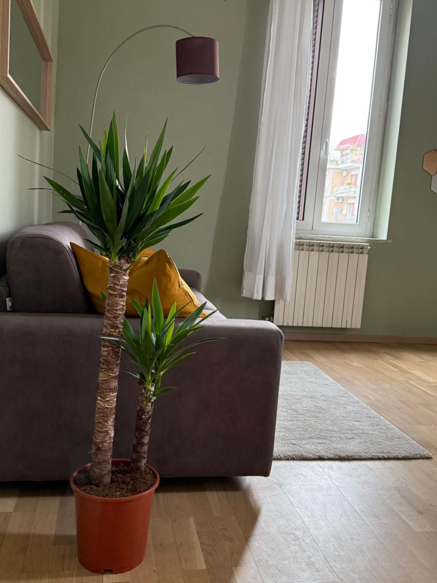 Villa The Beauty House Roma Extérieur photo